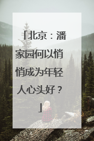 北京：潘家园何以悄悄成为年轻人心头好？