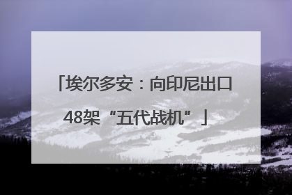 埃尔多安：向印尼出口48架“五代战机”
