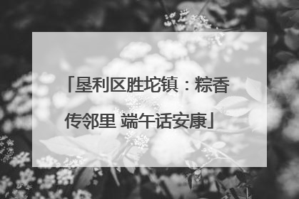 垦利区胜坨镇：粽香传邻里 端午话安康