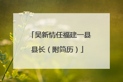 吴新情任福建一县县长（附简历）