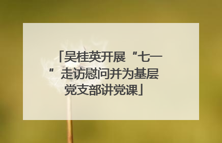 吴桂英开展“七一”走访慰问并为基层党支部讲党课
