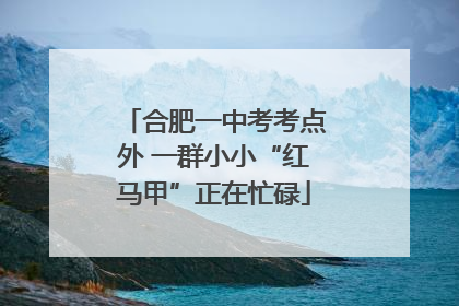 合肥一中考考点外 一群小小“红马甲”正在忙碌