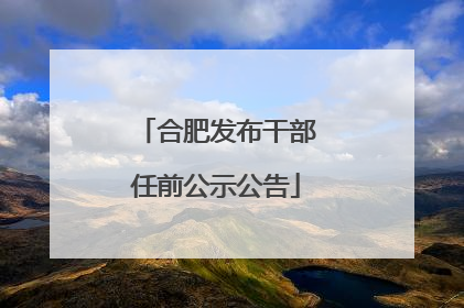 合肥发布干部任前公示公告