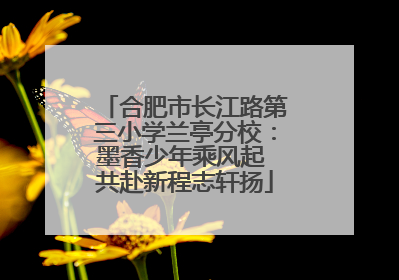 合肥市长江路第三小学兰亭分校：墨香少年乘风起 共赴新程志轩扬
