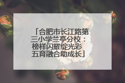 合肥市长江路第三小学兰亭分校：榜样闪耀绽光彩 五育融合助成长