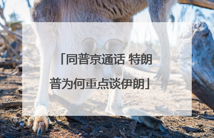 同普京通话 特朗普为何重点谈伊朗