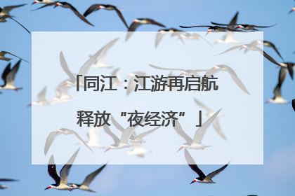 同江：江游再启航 释放“夜经济”