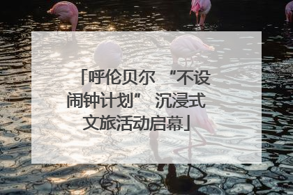 呼伦贝尔 “不设闹钟计划” 沉浸式文旅活动启幕