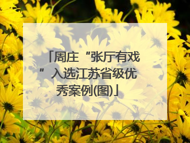 周庄“张厅有戏”入选江苏省级优秀案例(图)