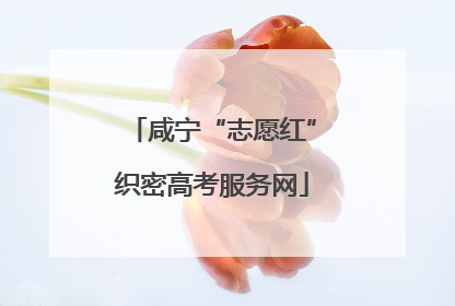 咸宁“志愿红”织密高考服务网