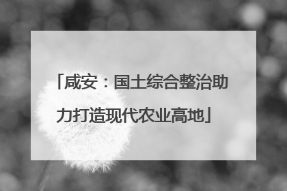 咸安：国土综合整治助力打造现代农业高地
