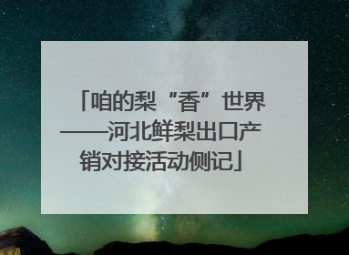 咱的梨“香”世界——河北鲜梨出口产销对接活动侧记