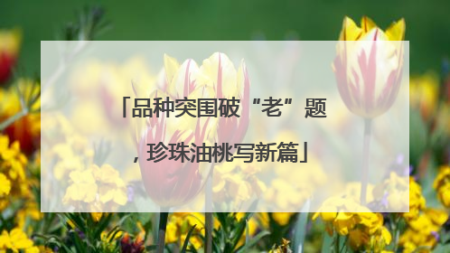 品种突围破“老”题，珍珠油桃写新篇