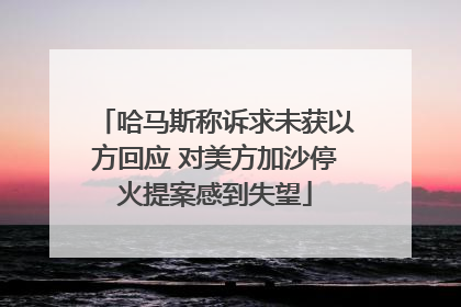哈马斯称诉求未获以方回应 对美方加沙停火提案感到失望