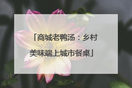 商城老鸭汤：乡村美味端上城市餐桌