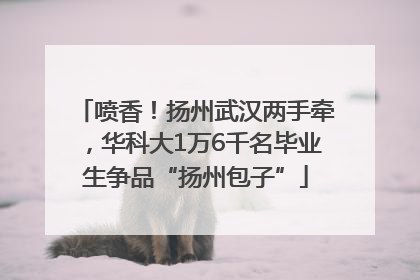 喷香！扬州武汉两手牵，华科大1万6千名毕业生争品“扬州包子”