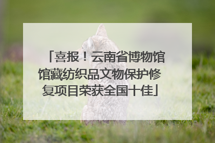 喜报！云南省博物馆馆藏纺织品文物保护修复项目荣获全国十佳