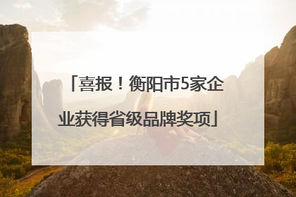 喜报！衡阳市5家企业获得省级品牌奖项