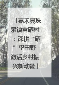 嘉禾县珠泉镇富硒村：深耕“硒”望田野 激活乡村振兴新动能