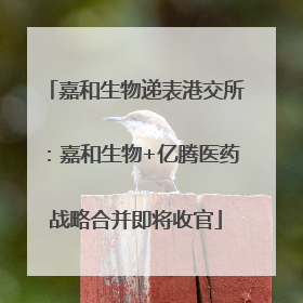 嘉和生物递表港交所：嘉和生物+亿腾医药战略合并即将收官