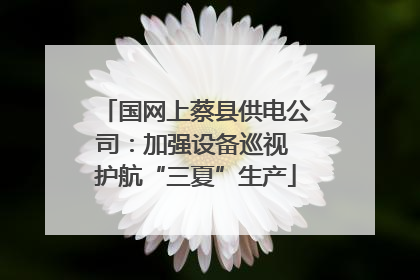 国网上蔡县供电公司：加强设备巡视 护航“三夏”生产