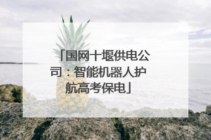 国网十堰供电公司：智能机器人护航高考保电