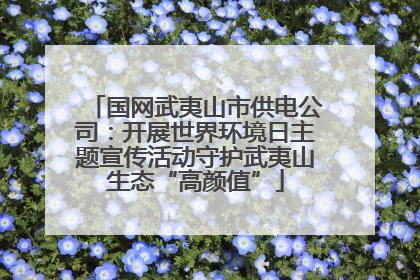 国网武夷山市供电公司：开展世界环境日主题宣传活动守护武夷山生态“高颜值”
