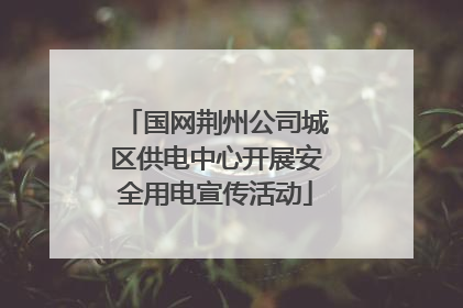国网荆州公司城区供电中心开展安全用电宣传活动