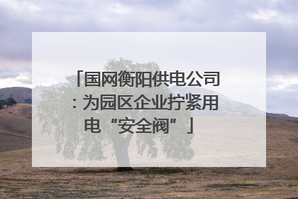 国网衡阳供电公司：为园区企业拧紧用电“安全阀”