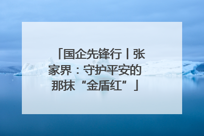 国企先锋行丨张家界：守护平安的那抹“金盾红”