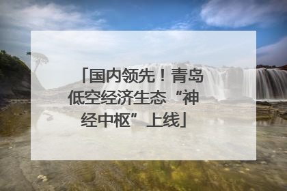 国内领先！青岛低空经济生态“神经中枢”上线