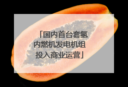 国内首台套氢内燃机发电机组投入商业运营