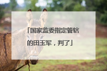 国家监委指定管辖的田玉军，判了