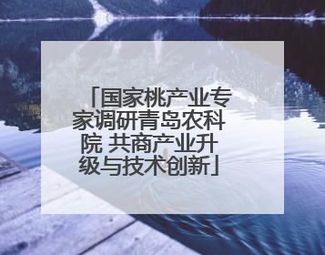 国家桃产业专家调研青岛农科院 共商产业升级与技术创新
