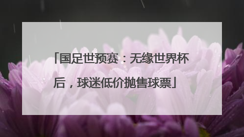国足世预赛：无缘世界杯后，球迷低价抛售球票