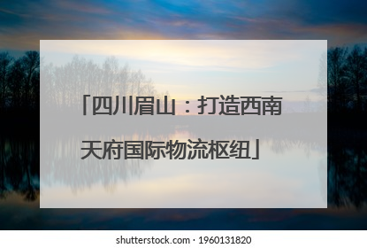 四川眉山：打造西南天府国际物流枢纽