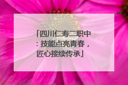 四川仁寿二职中：技能点亮青春，匠心接续传承