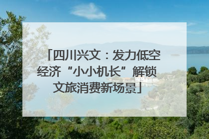 四川兴文：发力低空经济“小小机长”解锁文旅消费新场景