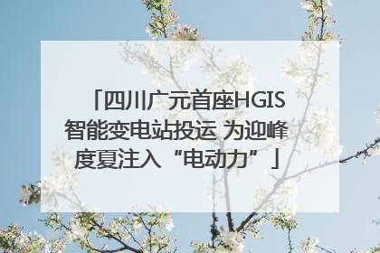 四川广元首座HGIS智能变电站投运 为迎峰度夏注入“电动力”