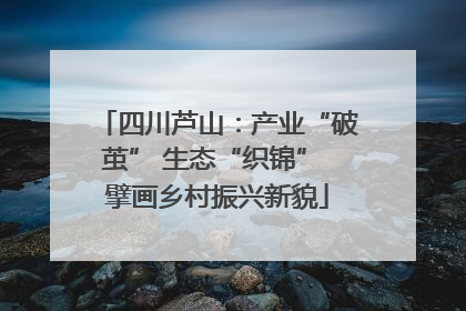 四川芦山：产业“破茧” 生态“织锦” 擘画乡村振兴新貌