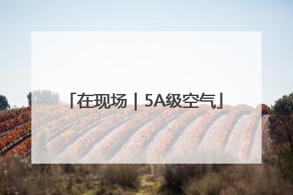 在现场｜5A级空气