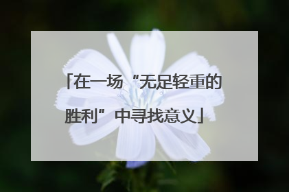 在一场“无足轻重的胜利”中寻找意义