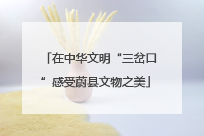 在中华文明“三岔口”感受蔚县文物之美