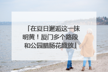 在夏日邂逅这一抹明黄！厦门多个路段和公园腊肠花盛放