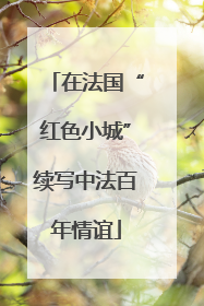 在法国“红色小城”续写中法百年情谊