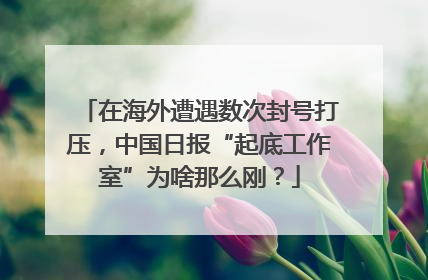 在海外遭遇数次封号打压，中国日报“起底工作室”为啥那么刚？