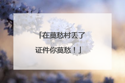 在莫愁村丢了证件你莫愁！