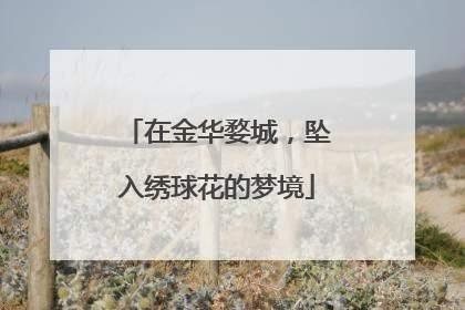 在金华婺城，坠入绣球花的梦境