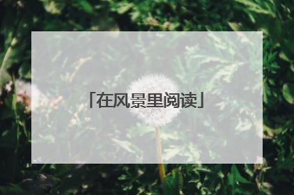 在风景里阅读