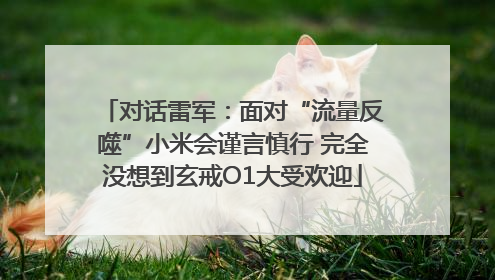 对话雷军：面对“流量反噬”小米会谨言慎行 完全没想到玄戒O1大受欢迎